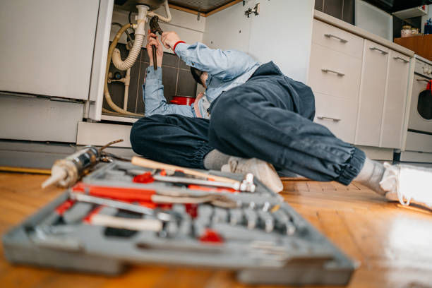 Best Clogged Drain Plumber  in Newcastle, WA